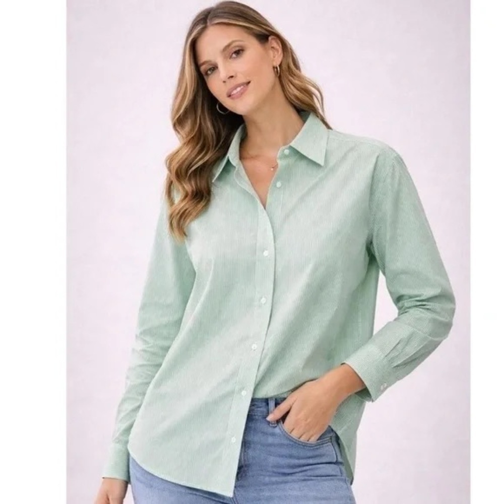 NWT Everlane The Button Down Cotton Oversized Shirt Mint Pinstripe